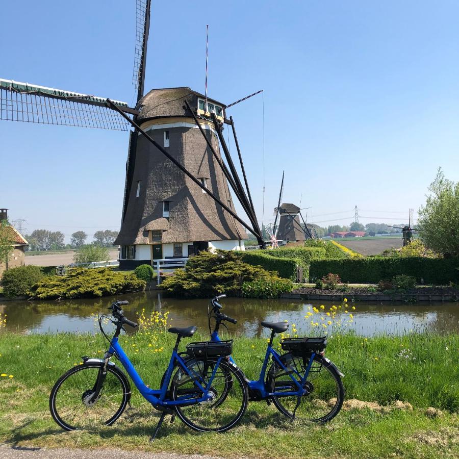 B&B Bleiswijk Eksteriør bilde
